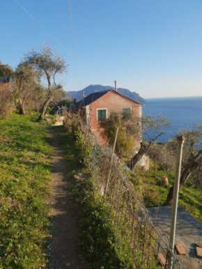Pace tra gli ulivi e il mare
